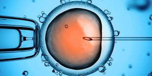 Tipos de FIV según el origen del óvulo y del semen